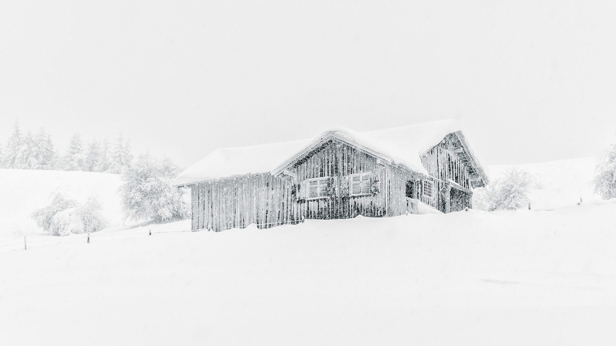 winter