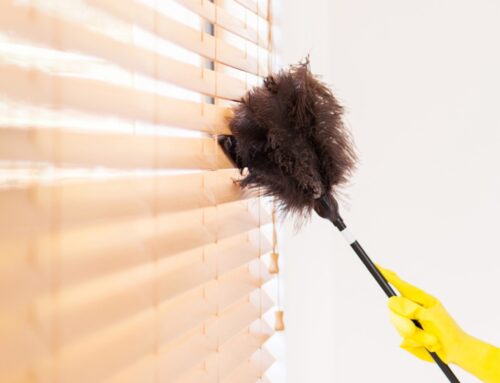 The Best Ways to Care and Maintain Shades, Blinds, and Shutters