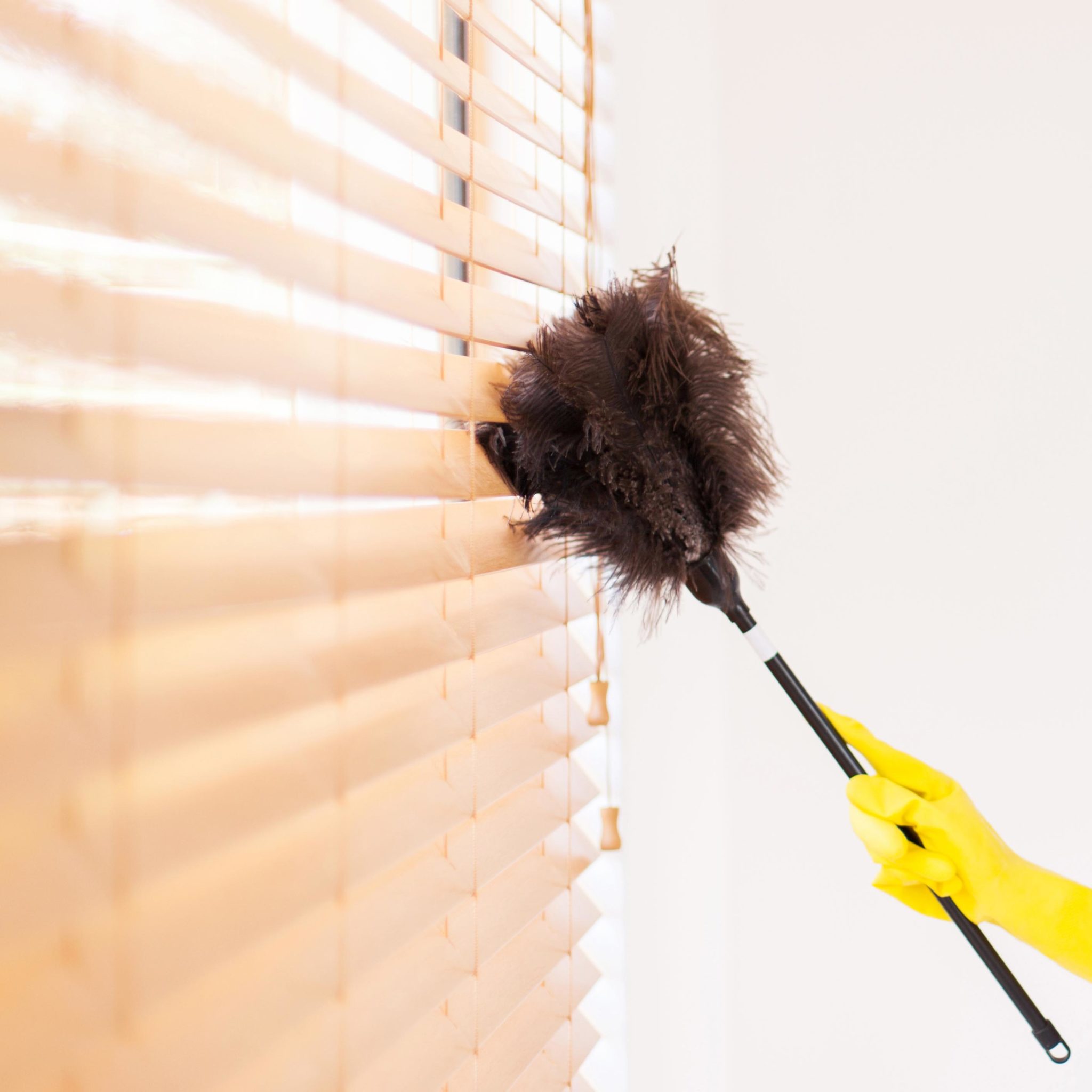 The best way to care and maintain shades, blinds, and shutters