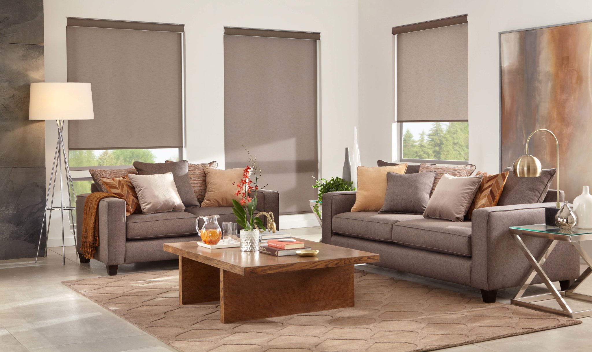 Blinds, Shades, Shutters at Peak Window Coverings Window Treatments Store