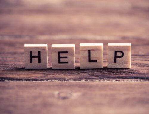 7 Reasons You can Trust Us with Your Window Covering Purchase